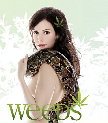 Weeds Season 5 (DVD 6 แผ่น - บรรยายไทย) Nancy แม่ม่ายลูกติดแถมยากจนยอมทำทุกอย่างแม้กระทั่งขายกัญชา