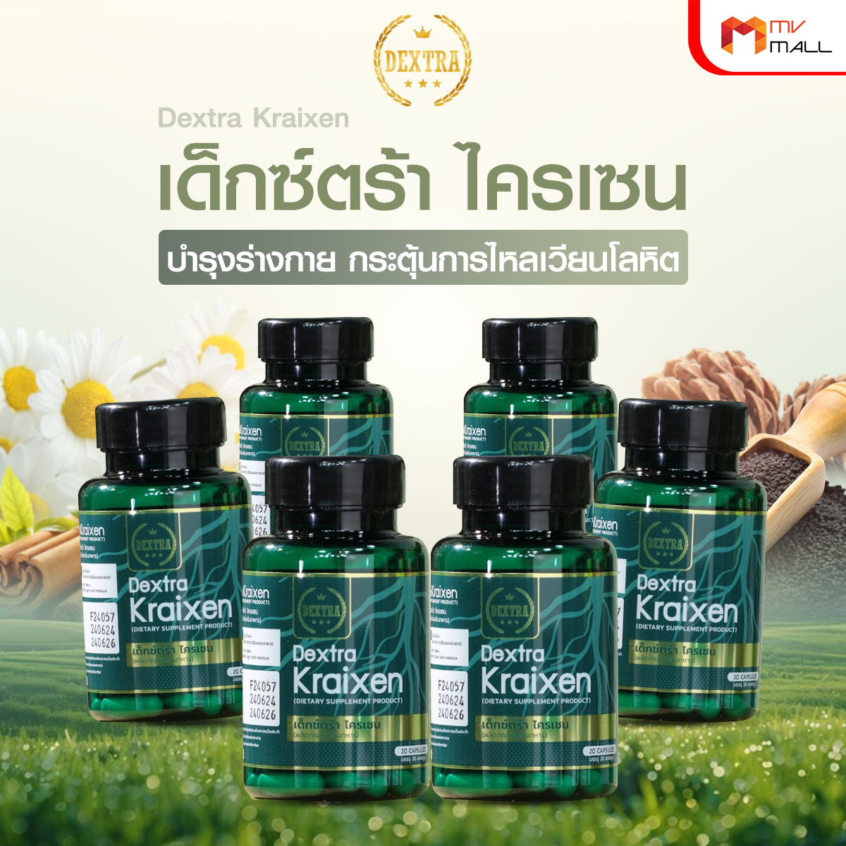 เด็กซ์ตร้า ไครเซน (Dextra Kraixen) บำรุงร่างกาย กระตุ้นการไหลเวียนโลหิต 6 กระปุก