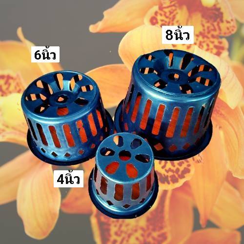 กระถางกล้วยไม้ 4 นิ้ว