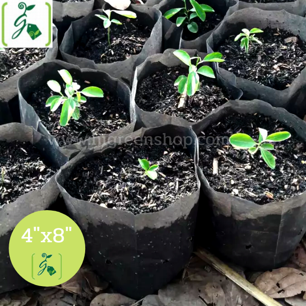 ถุงเพาะชำสีดำ ขนาด 4x8 นิ้ว 30 กก. / กระสอบ