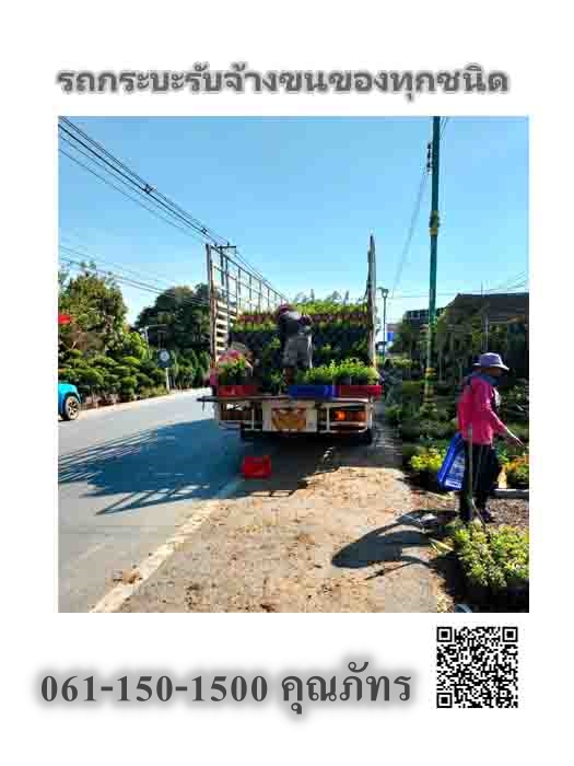 รถ6ล้อรับจ้างขนย้ายต้นไม้