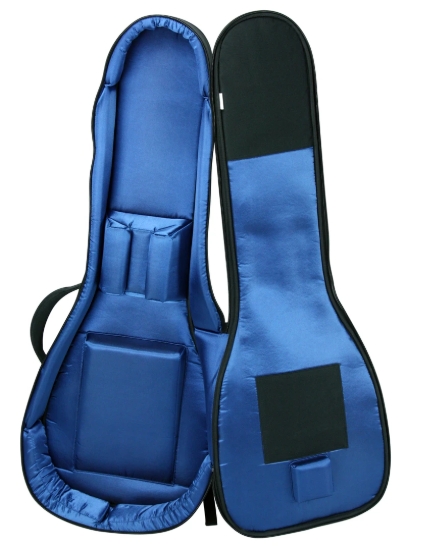 Reunion Blues RBX LP Style Guitar Gig Bag