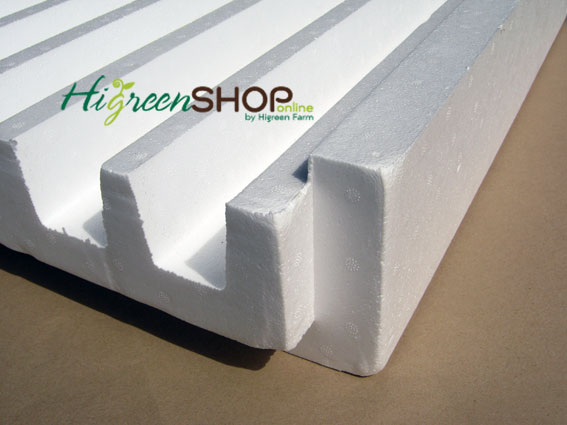 โฟมรางกลาง