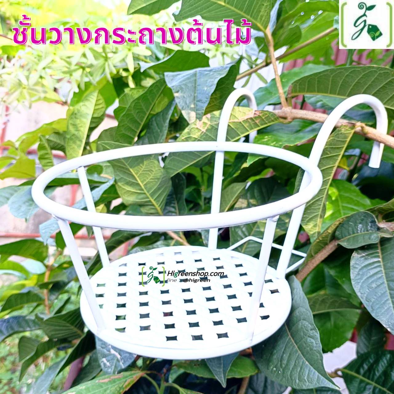 ชั้นวางกระถางต้นไม้ จำนวน 1 ชิ้น