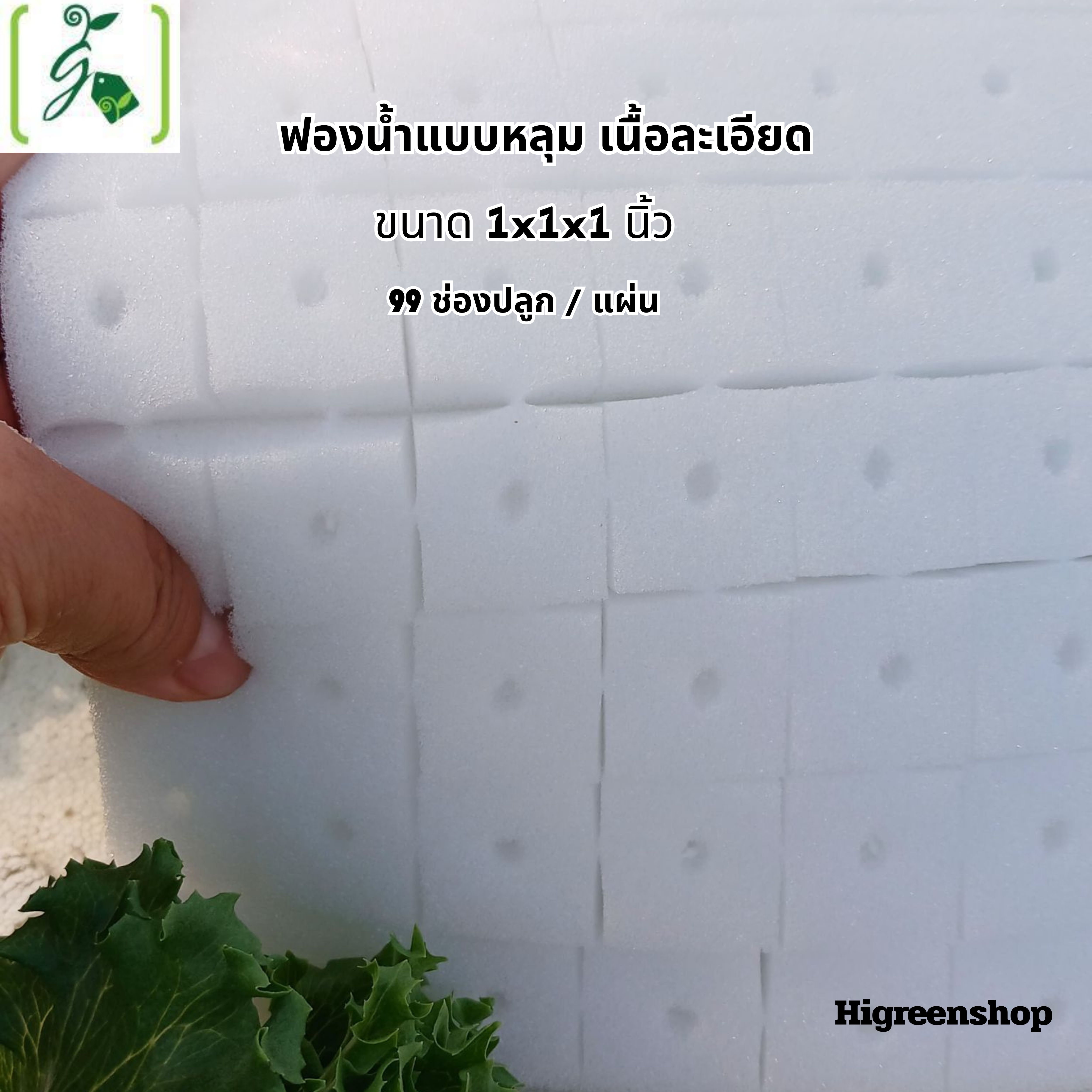 ฟองน้ำแบบหลุม เนื้อละเอียด ขนาด 1x1x1 นิ้ว (99 ช่องปลูก / แผ่น)จำนวน 1 แผ่น