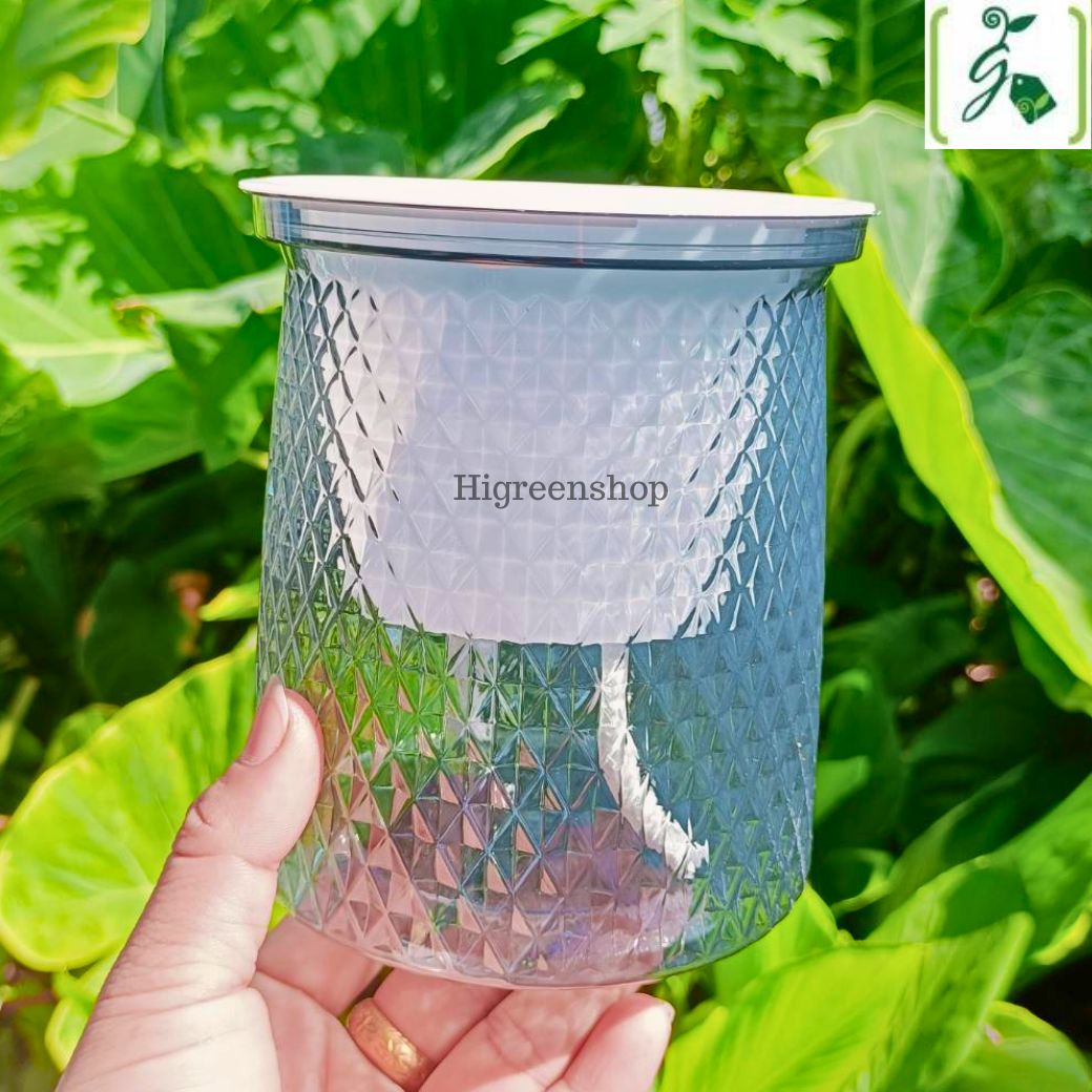 กระถางต้นไม้แบบใส เก็บน้ำได้ รดน้ำอัตโนมัติ กระถาง2ชั้น จำนวน 1 ใบ