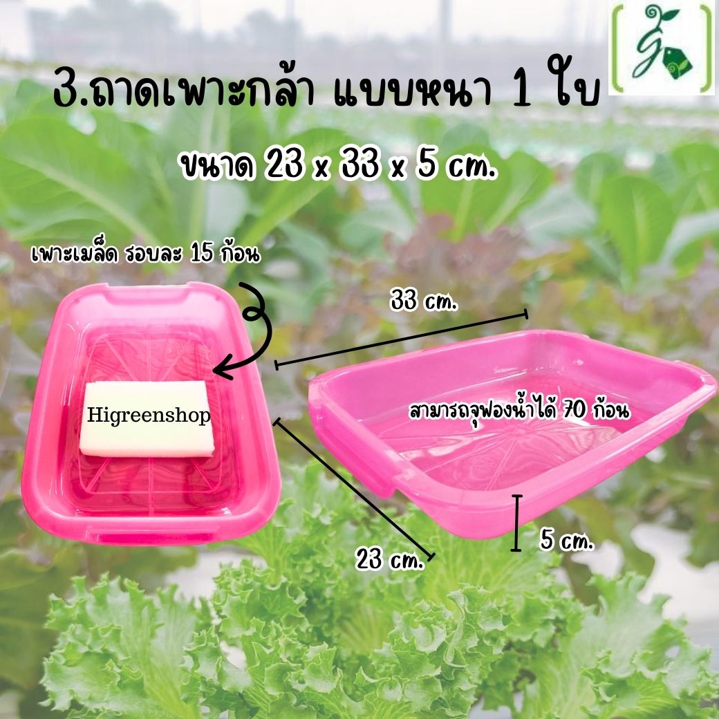 ชุด kid กล่องโฟมน้ำนิ่ง กล่องกุ้ง