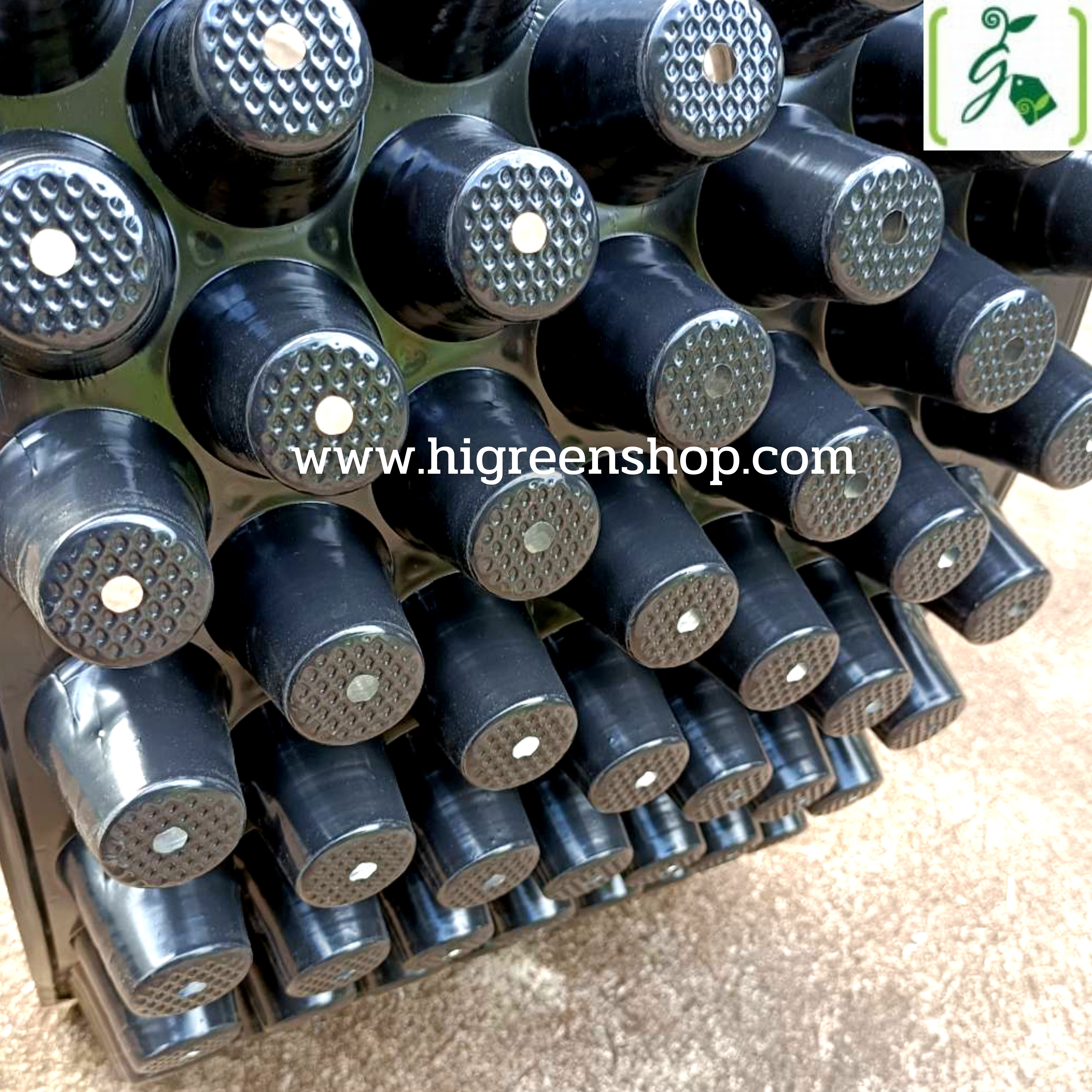 ถาดหลุมเพาะกล้าสีดำ 60 หลุม(100แผ่น/กล่อง)