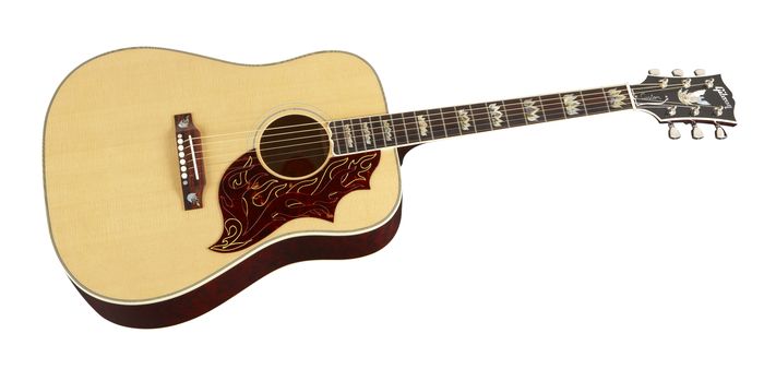 Gibson Custom Firebird Custom Acoustic Guitar