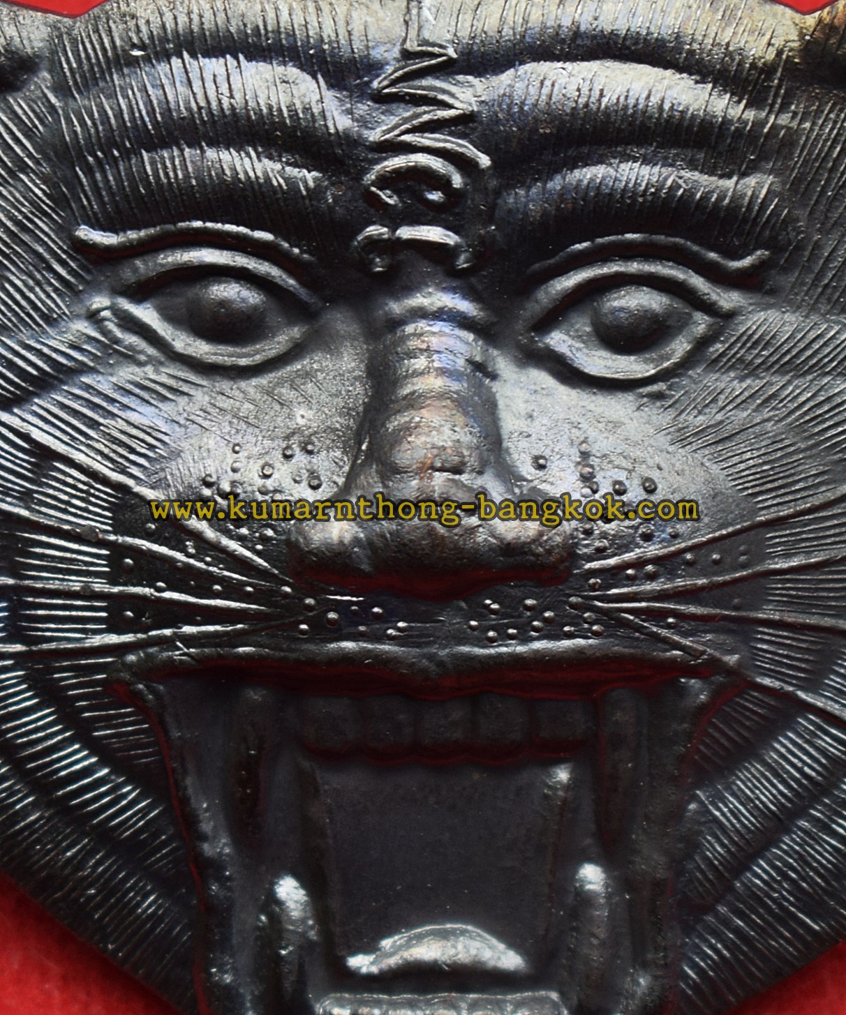 เหรียญหน้าเสือ วัดบางพระ (หลวงพ่อเปิ่น) จ.นครปฐม พิมพ์ใหญ่จัมโบ้ เนื้อทองแดงรมดำ ขนาด สูง 4.9ซม. กว้าง 5.2ซม. พิธีไหว้ครู ปี2549