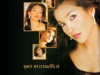 บอดี้การ์ดสาว Dvd 3 แผ่น นำโดย บรู๊ค ดนุพร + หน่อย บุษกร