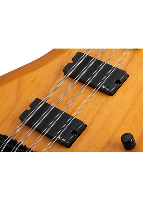 Schecter Guitar Research Riot-8 Session 8-String Electric Bass - Satin Aged Natural