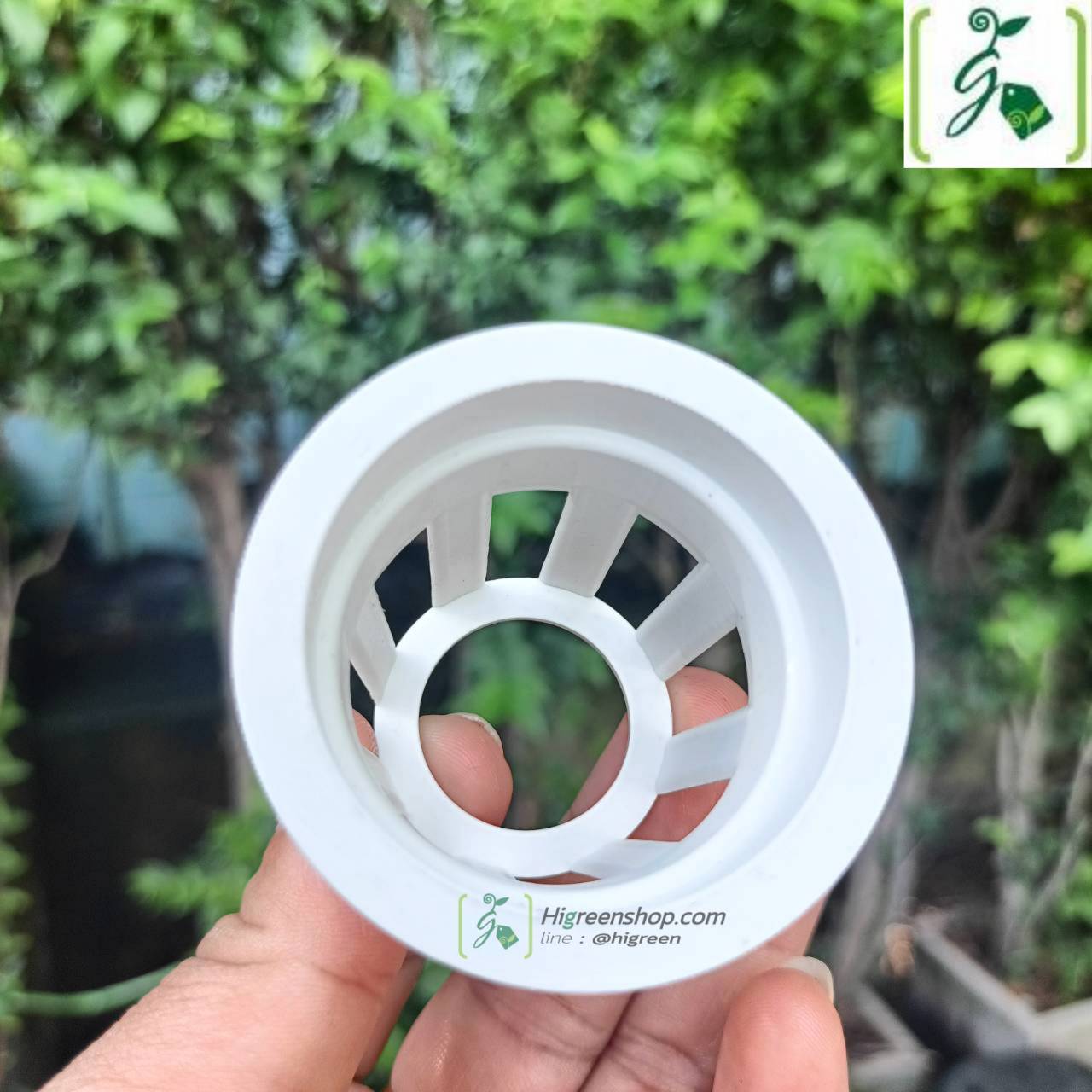 ถ้วยปลูกสีขาว 100 ใบ (ใช้ซ้ำ) เกรด A แบบบาง