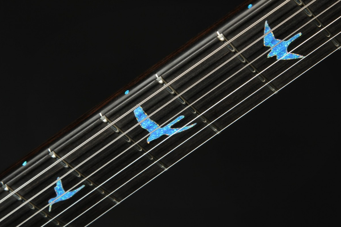 Paul Reed Smith Private Stock #9021 Special Semi-Hollow F-Hole Macassar Ebony - Sub Zero Glow