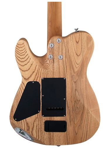 Charvel Pro-Mod So-Cal Style 2 24 HH 2PT CM ash