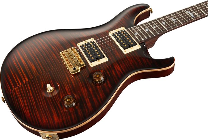 Paul Reed Smith Experience 2010 Custom 24 Wide-Thin Neck with Birds Electric Guitar