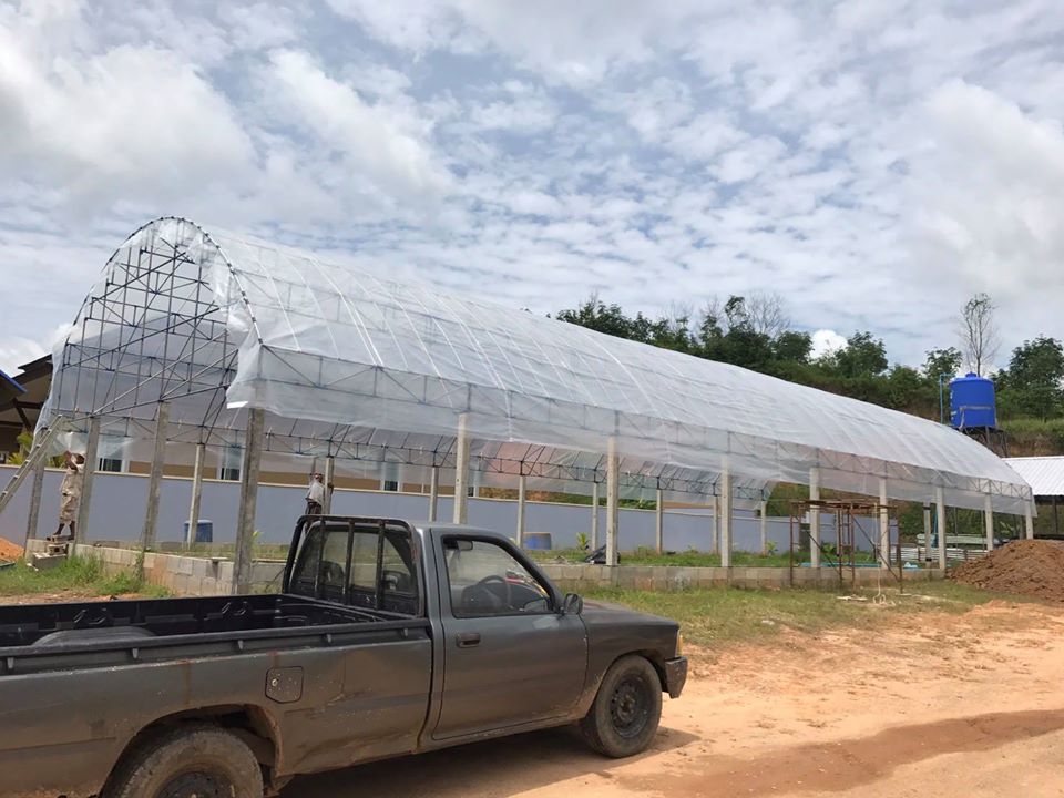 (ตัดสำเร็จพร้อมจำหน่าย) พลาสติกใส พลาสติกดำ มุ้ง สแลนด์ หน้ากว้าง 2/3/4/5/6/7 เมตร เลือกได้ตามต้องการ