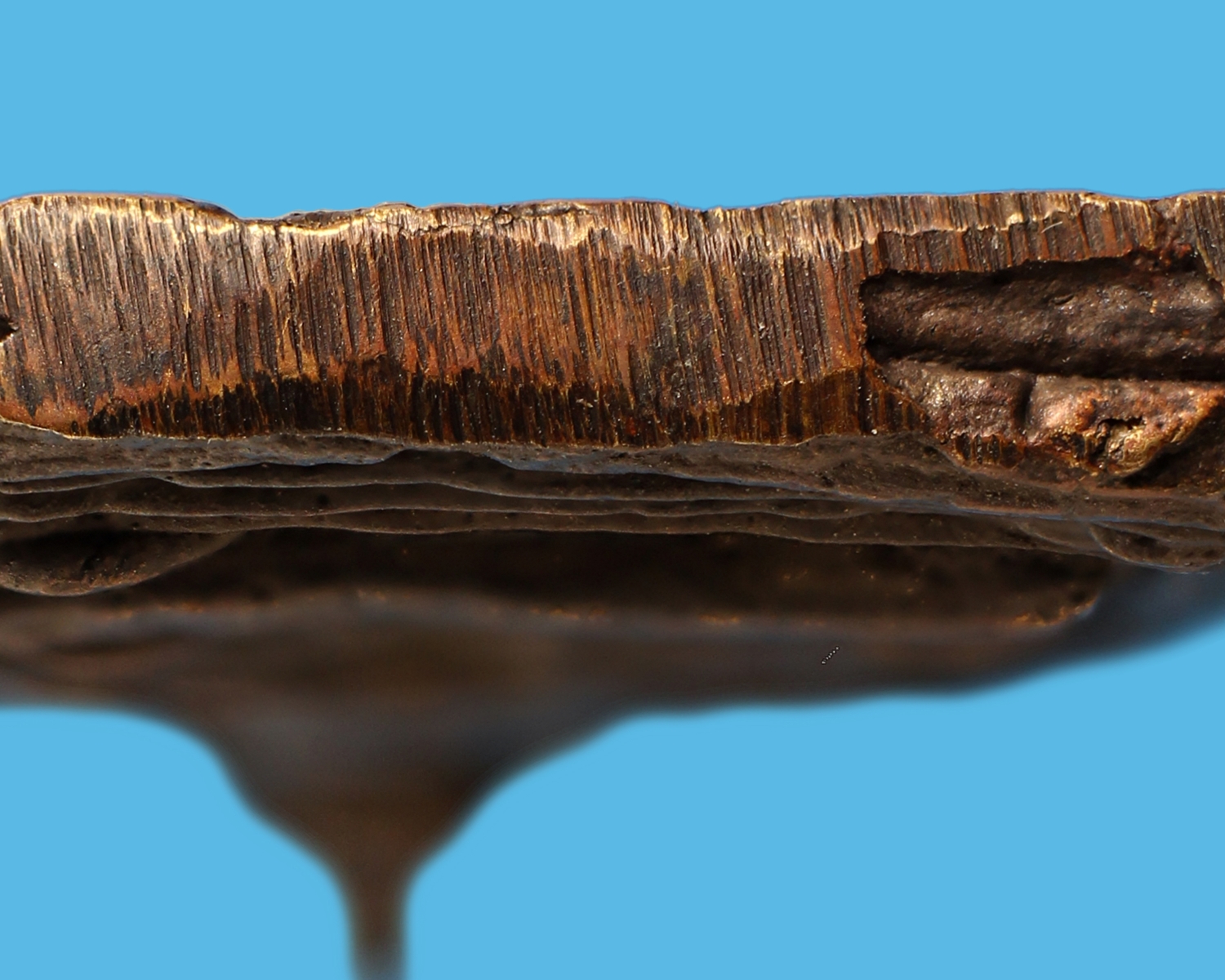 เหรียญหล่อหลวงพ่อไปล่ วัดกำแพง พ.ศ.2478 (โชว์พระ)