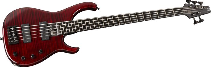 Modulus Guitars Quantum 5 5 String Bass with 5A Flamed Maple Top