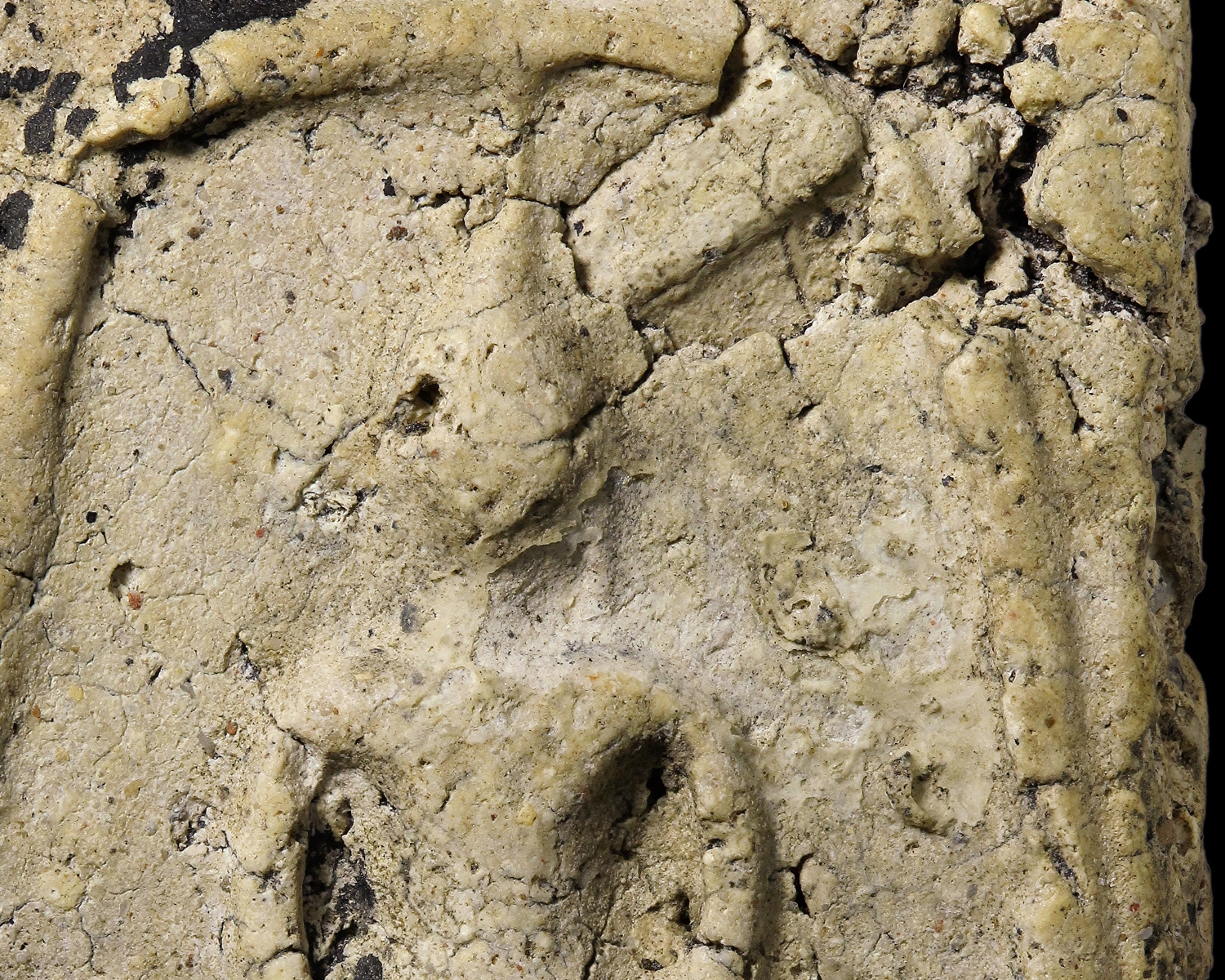 พระสองคลอง พระสมเด็จวัดระฆังโฆสิตาราม พิมพ์ใหญ่ ฝากกรุบางขุนพรหม (โชว์พระ)