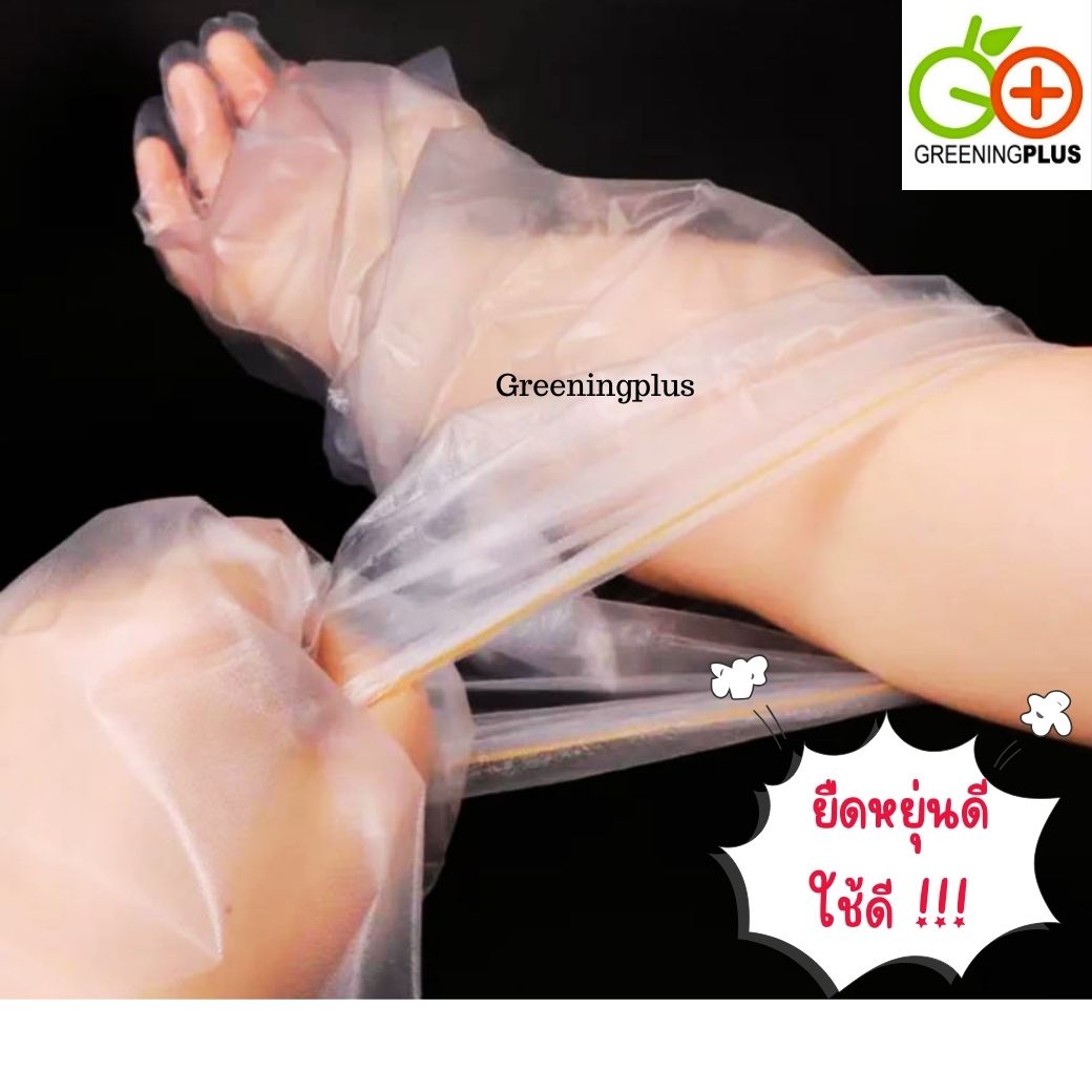 ถุงมือพลาสติก คลุมศอก แบบยาวพิเศษ 55 cm. Long Glove จำนวน 10 ชิ้น (5คู่) / แพ็ค