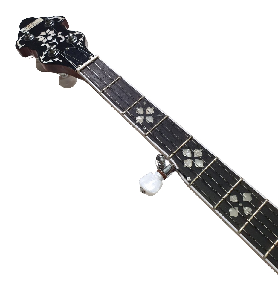 Recording King Bluegrass Series RK-R20 Songster Banjo