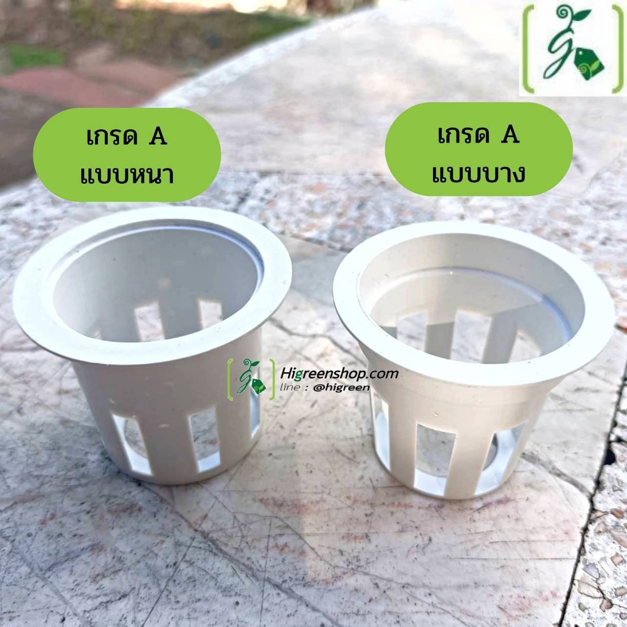 ถ้วยปลูกสีขาว 100 ใบ (ใช้ซ้ำ) เกรด A แบบบาง