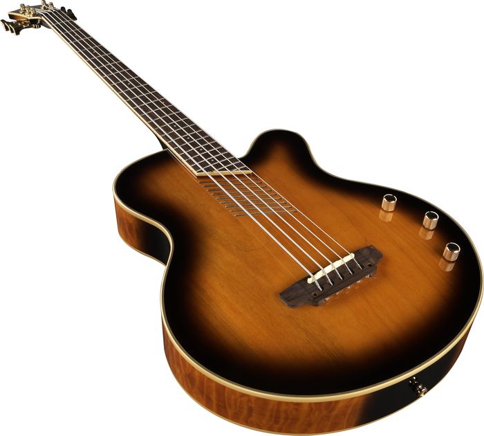Washburn AB45 5-String Acoustic-Electric Bass Vintage Sunburst