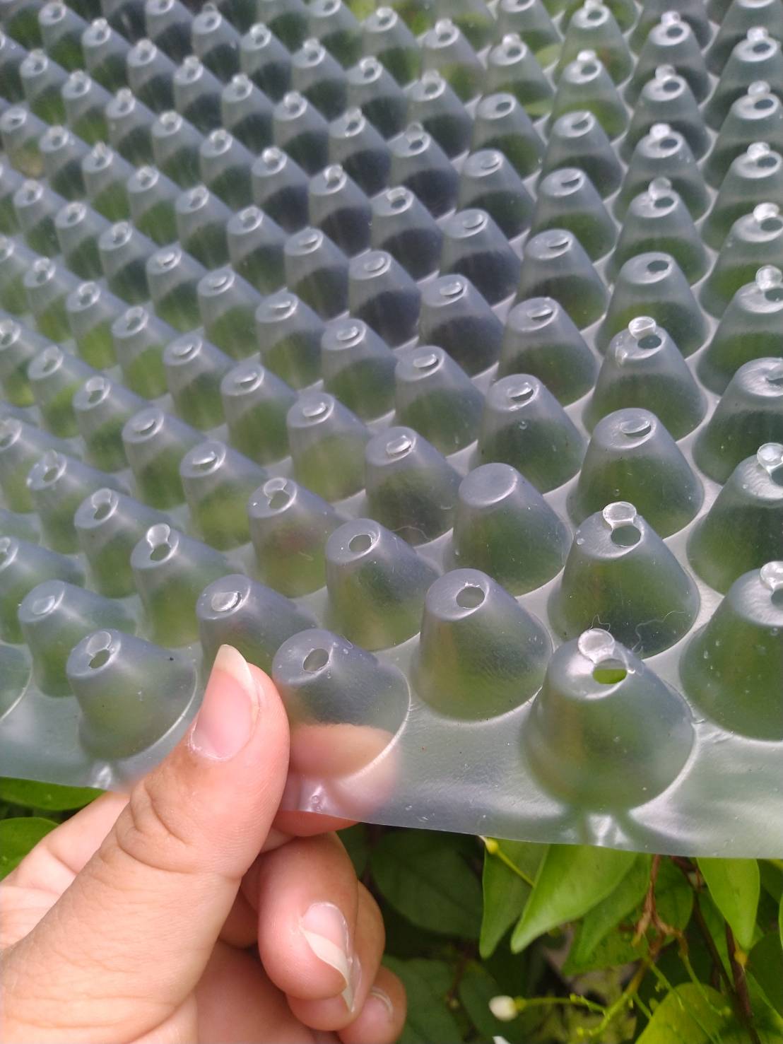 ถาดเพาะกล้านาโยน ถาดเพาะข้าว ถาดเพาะชำ ถาดเพาะเมล็ด 434หลุม/ใบ (แพค 200 ใบ)