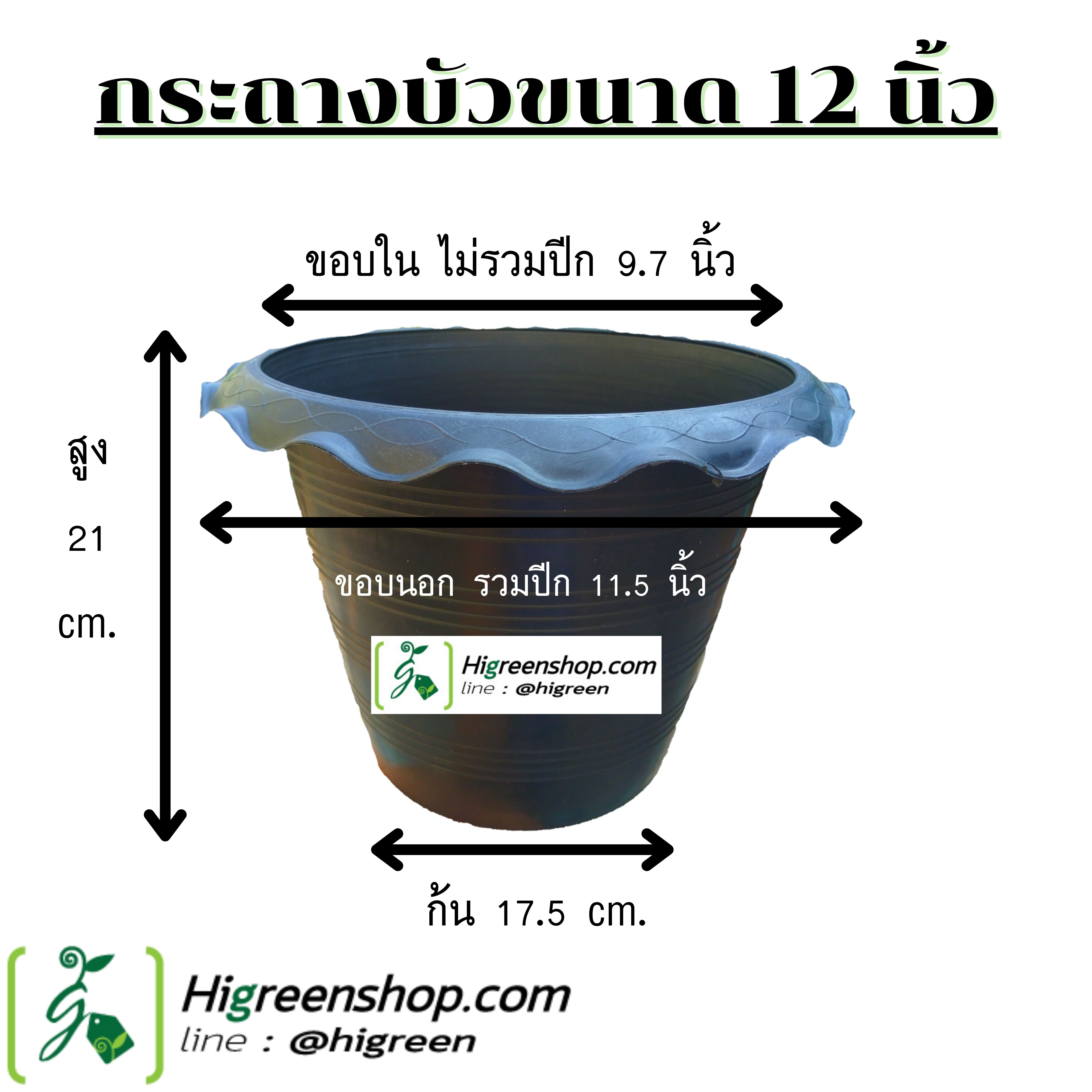 กระถางบัว ขนาด 12 นิ้ว