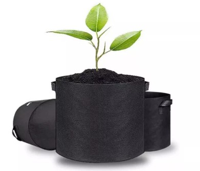 ถุง Smart Pot สีดำ ขนาด 10 แกลลอน / ใบ