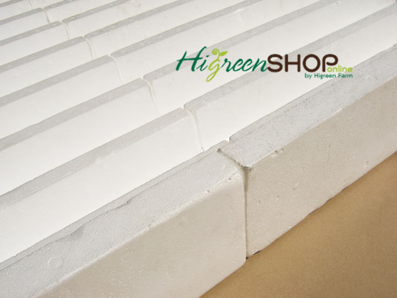 โฟมรางกลาง