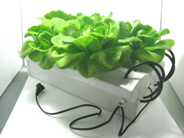 ชุด Kit ราง NFT 5 ต้น