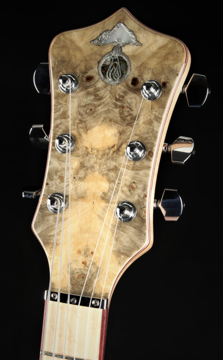 Alembic Further - Buckeye Burl