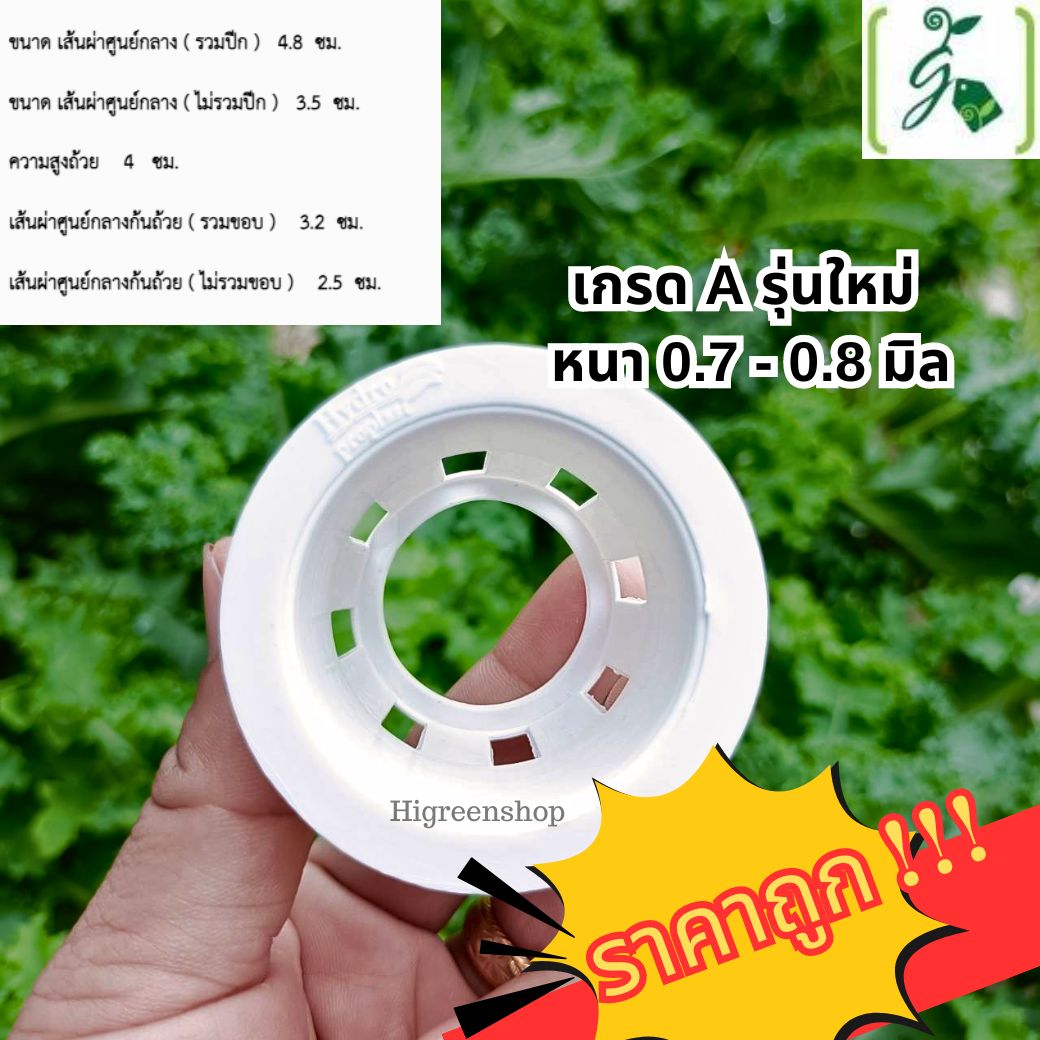 ถ้วยปลูกสีขาว 100 ใบ (ใช้ซ้ำ) เกรด A รุ่นใหม่