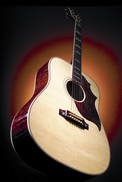 Gibson Custom Firebird Custom Acoustic Guitar