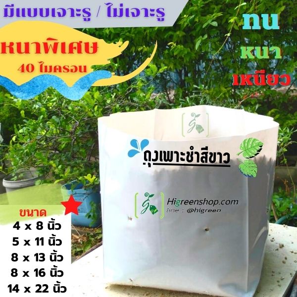 ถุงเพาะชำสีขาว ขนาด 8x16 นิ้ว 30กก. ไม่เจาะรู /กระสอบ