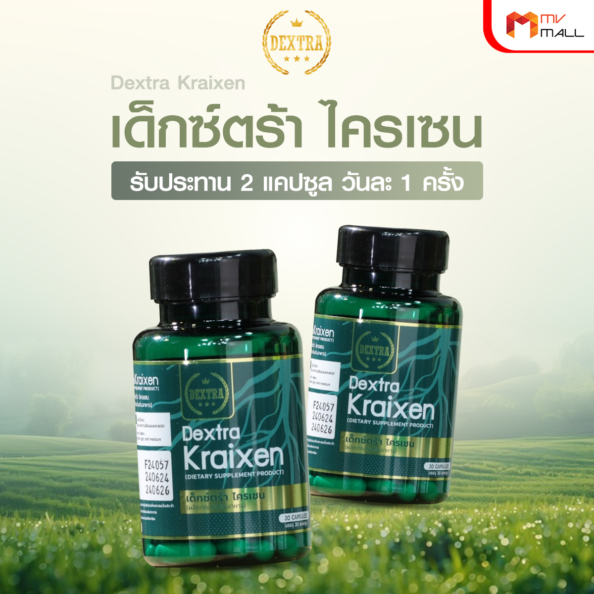 เด็กซ์ตร้า ไครเซน (Dextra Kraixen) บำรุงร่างกาย กระตุ้นการไหลเวียนโลหิต 6 กระปุก