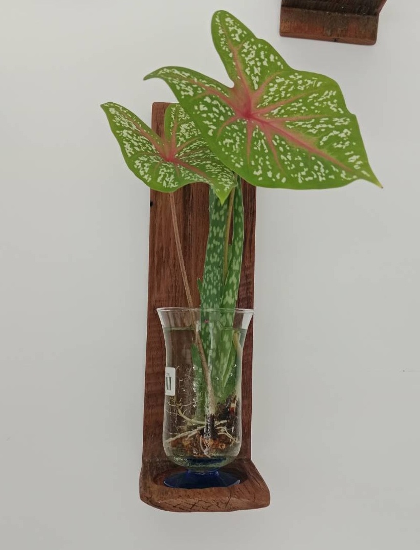 แบบที่ 9