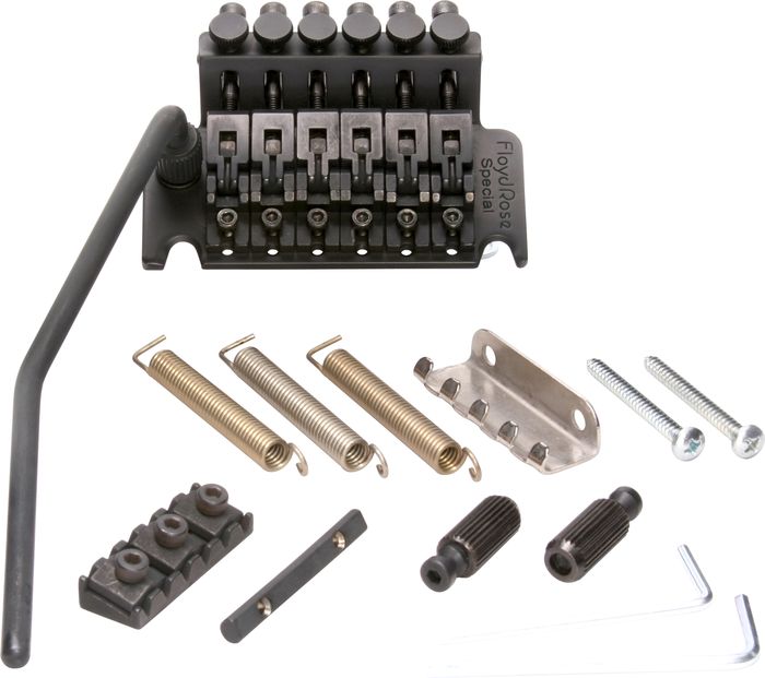 Floyd Rose Special Series Tremolo Bridge with R2 Nut