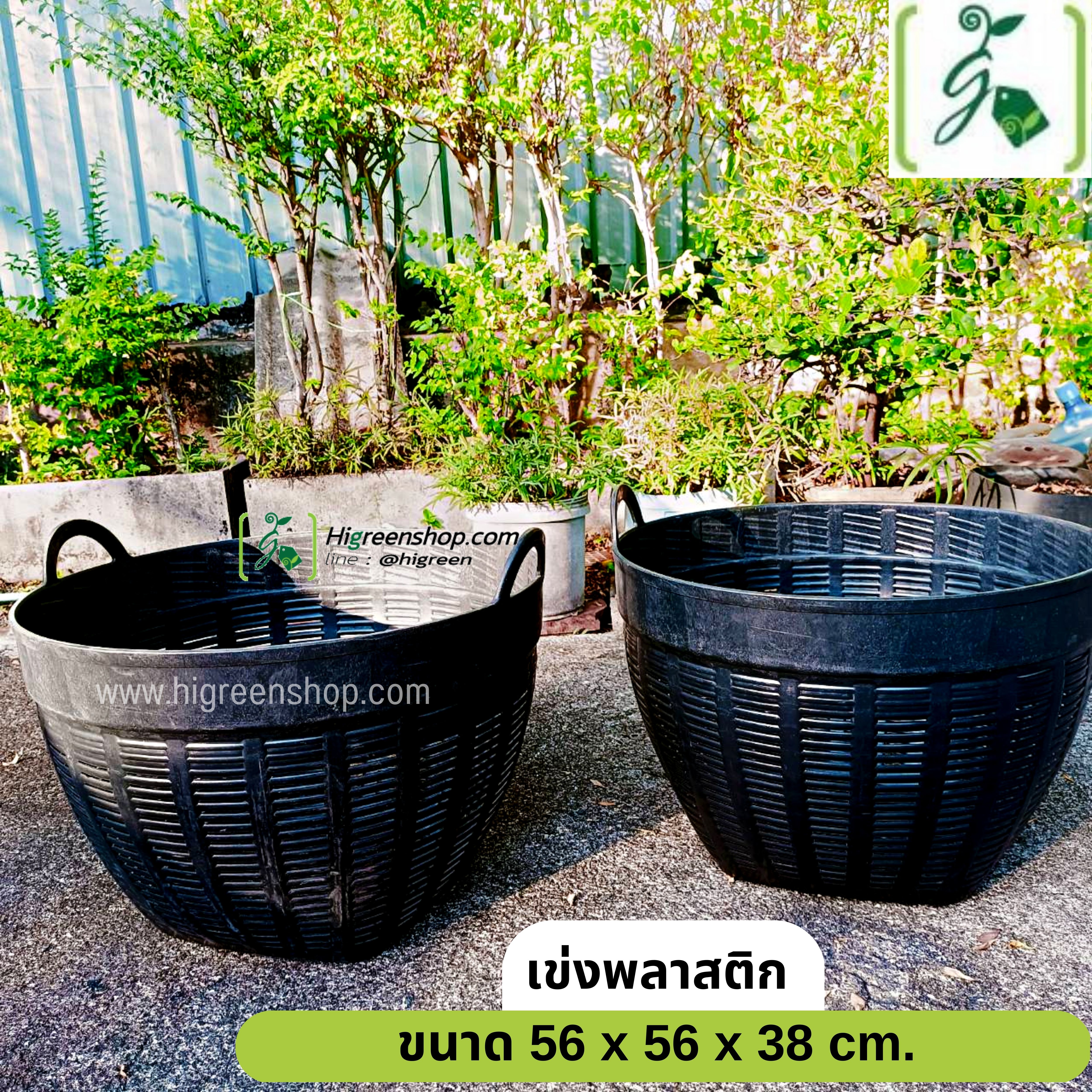 เข่งพลาสติก ข (22 นิ้ว / เบอร์3) จำนวน 1 ใบ
