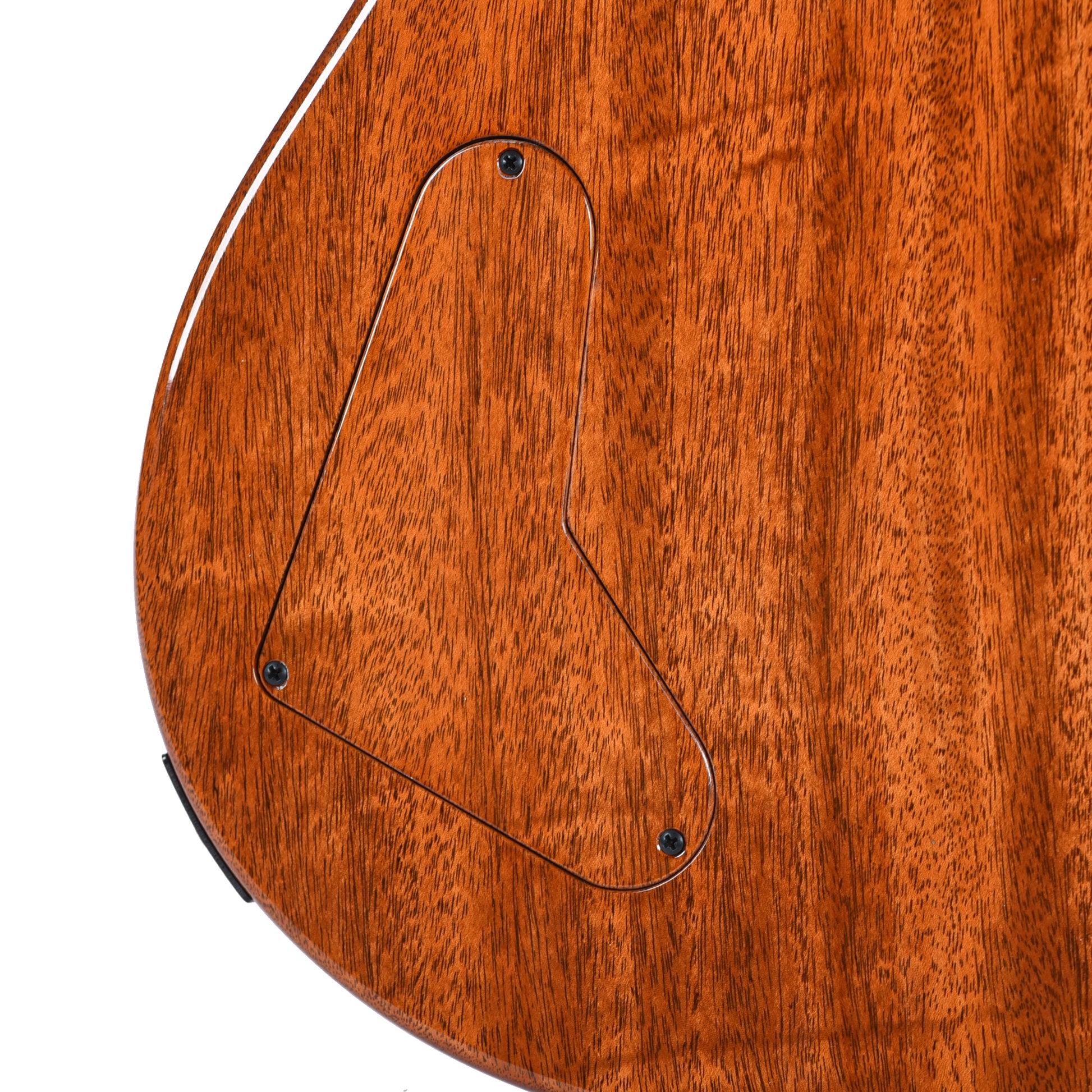 PRS Private Stock Paul's Guitar Curly Maple/African Mahogany Rainforest Glow w/Stained Neck/Fingerboard & Birds of a Feather Inlay