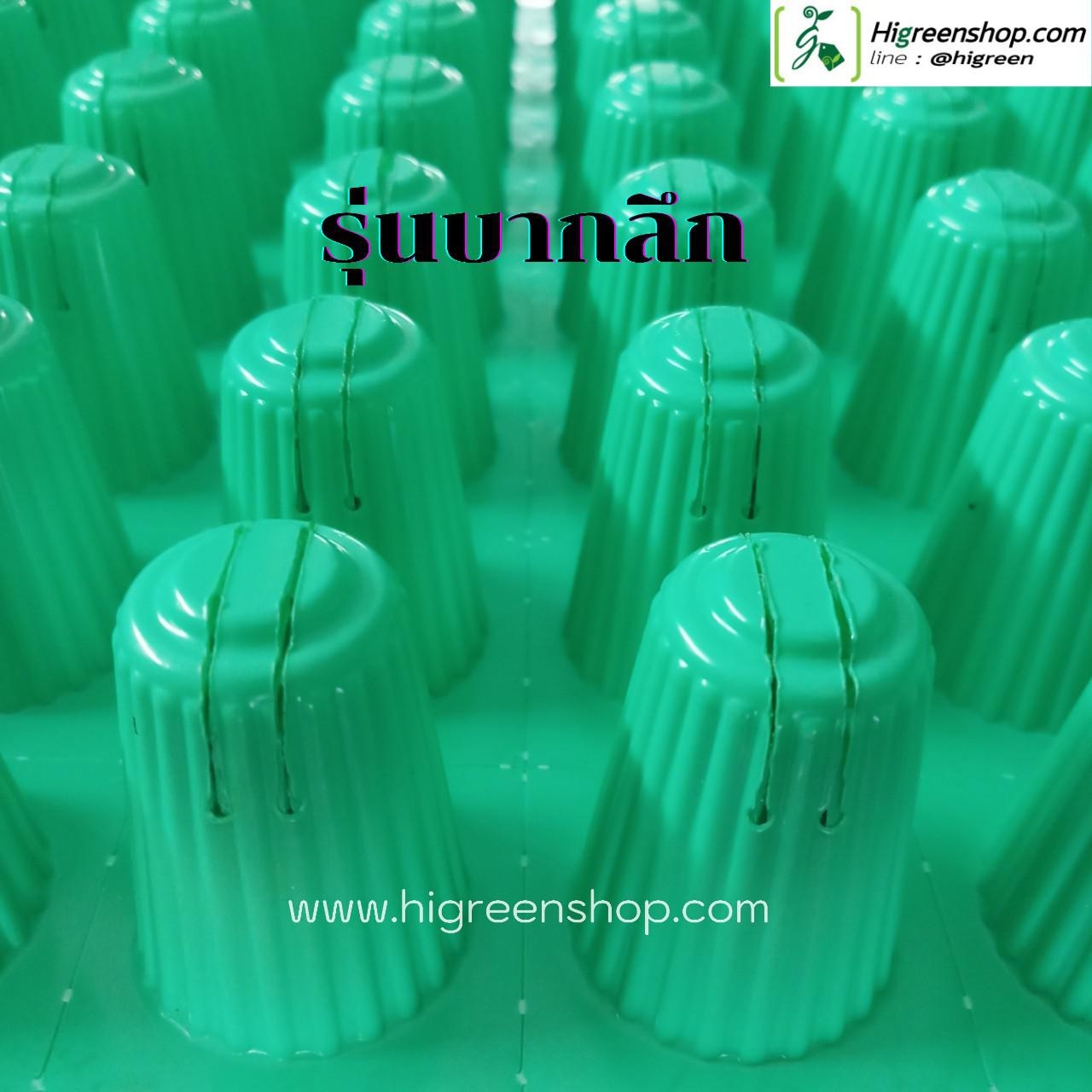 ถ้วยปลูกเขียวบากก้นลึก แบบหนา 10 กล่อง