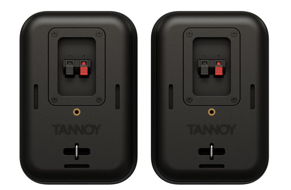 Tannoy VMS 1 Pair (Black,White)