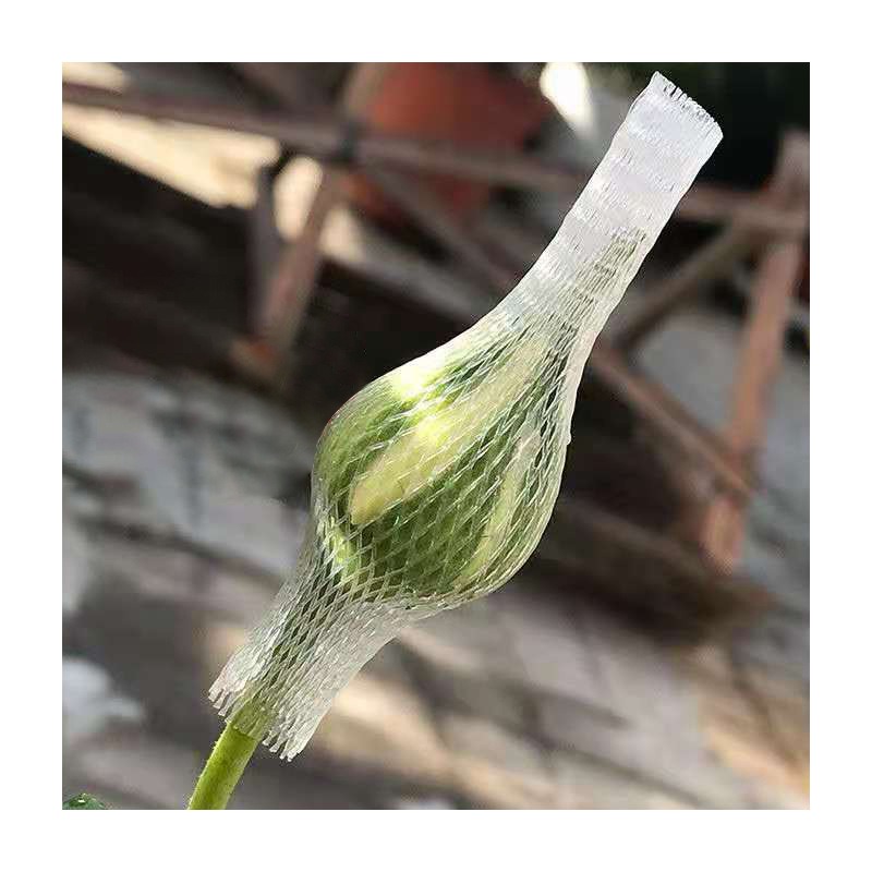 ใหม่!!! ตาข่ายห่อกุหลาบ แบบใส ไม่เปื่อยยุ่ย คนทำสวนกุหลาบนิยมใช้มาก เนื้อบางเบา กันกระแทกขั้นสุด ตาข่ายโฟมห่อดอกกุหลาบ แบบใส ตาข่ายห่อมะยงชิด เพื่อคงรูปทรงให้สวย ไม่เสียหายระหว่างขนส่ง จำนวน 1 กก.