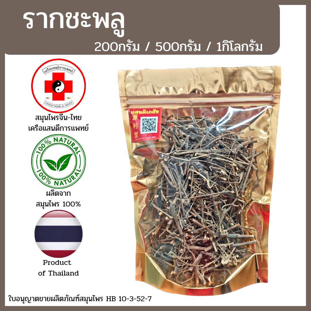 [แสนดีเภสัช] สมุนไพร รากชะพลู อย่างดี