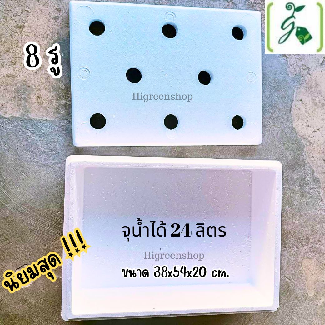 กล่องโฟมมือ 1 กล่องเปล่า กล่องกุ้ง กล่องปลูกผักไฮโดรโปนิกส์ เจาะรูฟรี เจาะรูสลัด 5 / 6 / 8 ต้น หรือผักไทย 15 ต้น เลือกได้ / เซต 10 ลัง