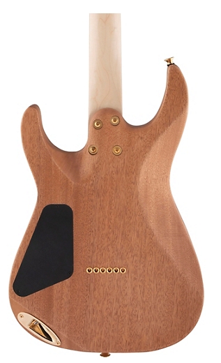 Charvel Pro-Mod DK24 HH HT M Mahogany with Figured Walnut Natural