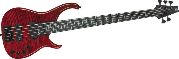 Modulus Guitars Quantum 5 5 String Bass with 5A Flamed Maple Top