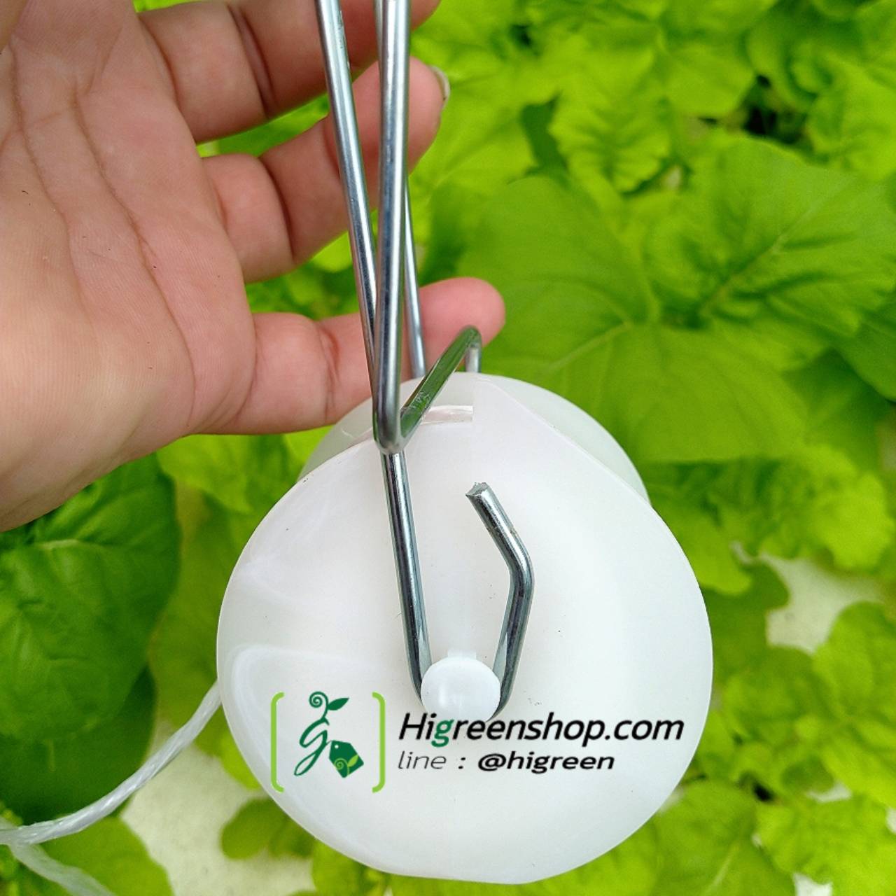 ชุดรอกแขวนเมล่อน จำนวน 2 ชิ้น